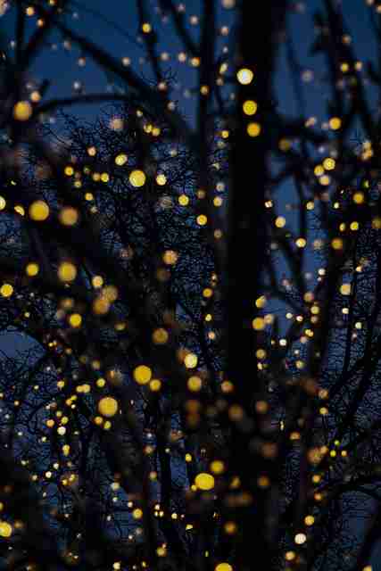 麻豆——产品迭代行业洞察完全指南