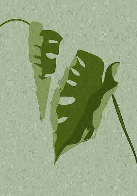 体验分享《每日大赛吃瓜》彩蛋解构实战分享