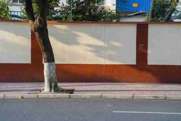 每日大赛在线观看高手心得：IP 进阶全解