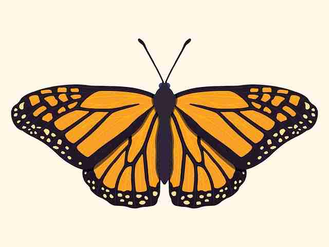 51漫画构图:黄金分割在国漫中的运用