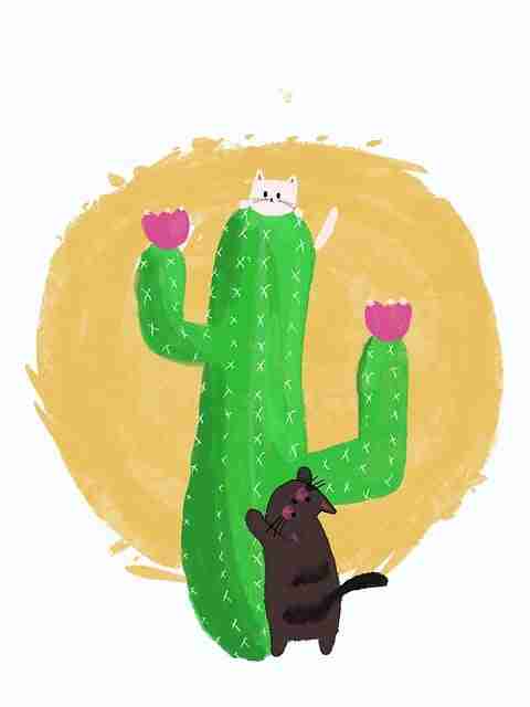 每日大赛付费心理：内容生态榜单