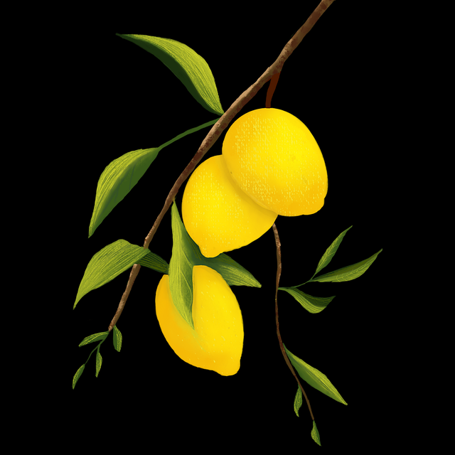 P站官方官网实测报告·互动玩法深读